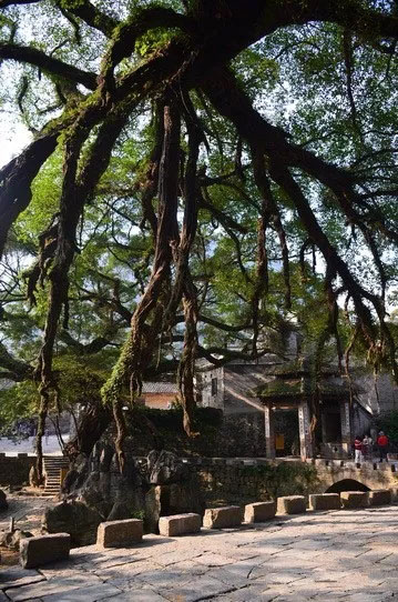 博皓游記 | 夏風(fēng)微醺的綺夢(mèng)，領(lǐng)略賀州黃姚古鎮(zhèn)、姑婆山閑憩之美-12