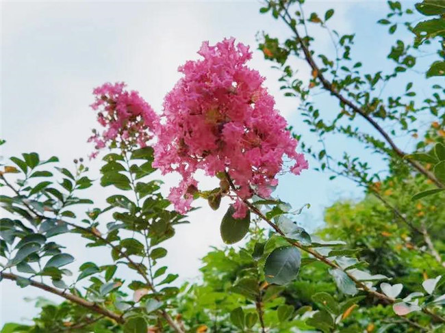 呼吸鮮氧，踐行公益——廣東博皓公益活動(dòng)：星溪線公益環(huán)?；顒?dòng)   -5