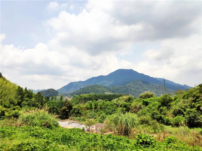 呼吸鮮氧，踐行公益——廣東博皓公益活動(dòng)：星溪線公益環(huán)?；顒?dòng)   -6
