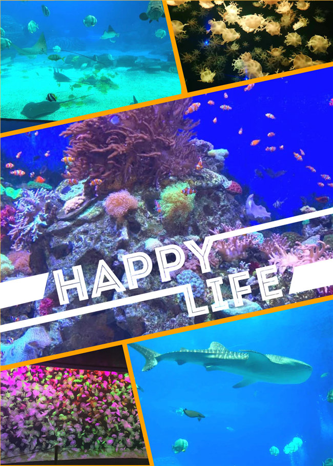 廣東博皓親子游：珠海長(zhǎng)隆海洋王國(guó)，探索海洋生物的奧秘，奇妙的動(dòng)物世界