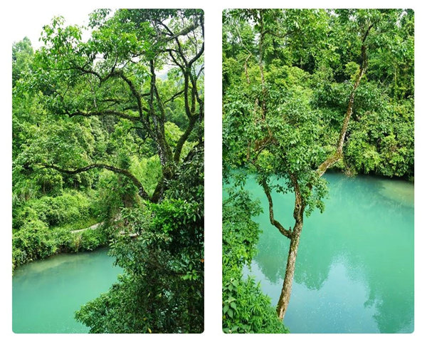多彩貴州，魅力天下，2021年廣東博皓快樂貴州行-29