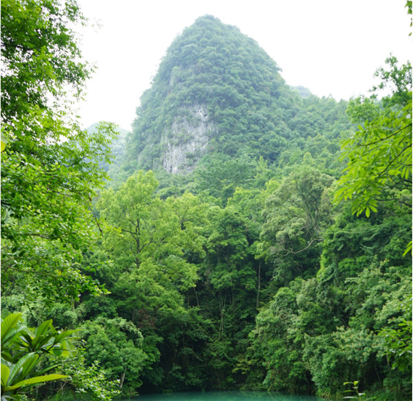 賞華夏大地，游多彩貴州-－2021年廣東博皓快樂行-2