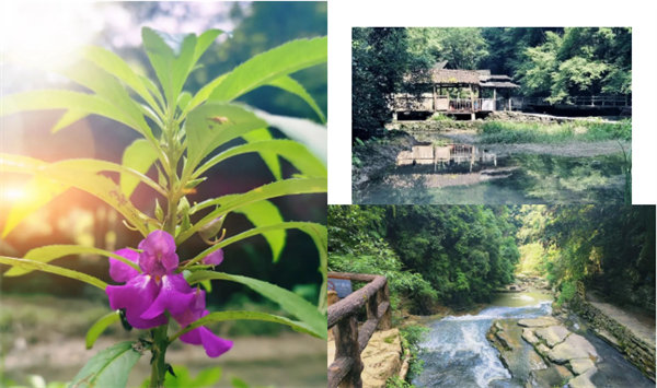 “湘”約鳳凰，相守未來——2022博皓快樂湖南行    -34