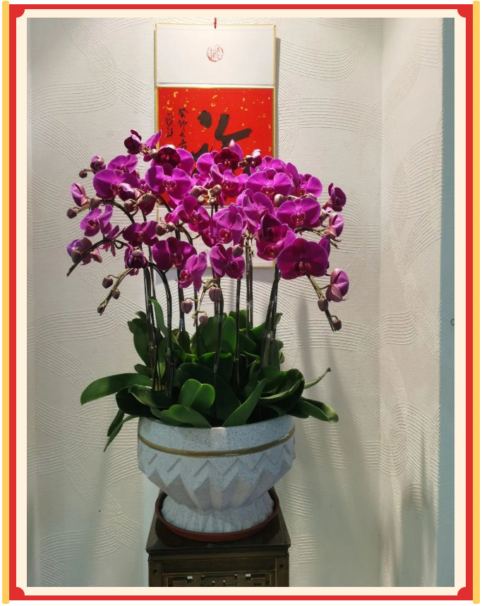 廣東博皓開工大吉丨金虎騰躍，兔來運轉(zhuǎn)           -23