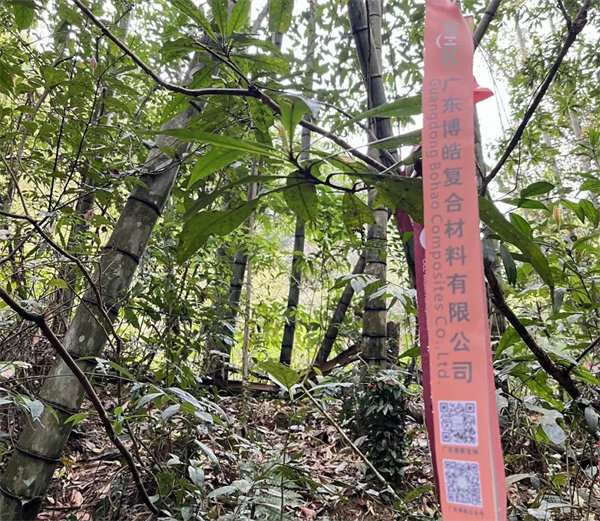 凝心聚力再出發(fā)，風(fēng)雨同舟赴星溪！--廣東博皓2024龍年首登星溪之旅     -2