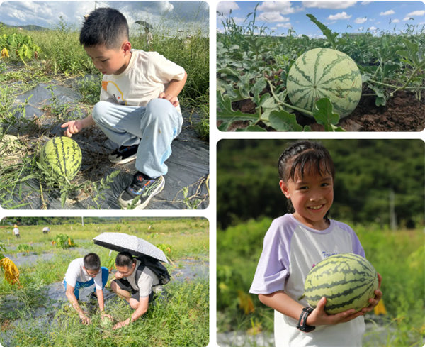 趣游盛夏，一路童行—2024年廣東博皓親子游   -12