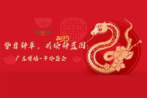 勢(shì)啟新章，共繪新藍(lán)圖—廣東博皓年終盛會(huì)