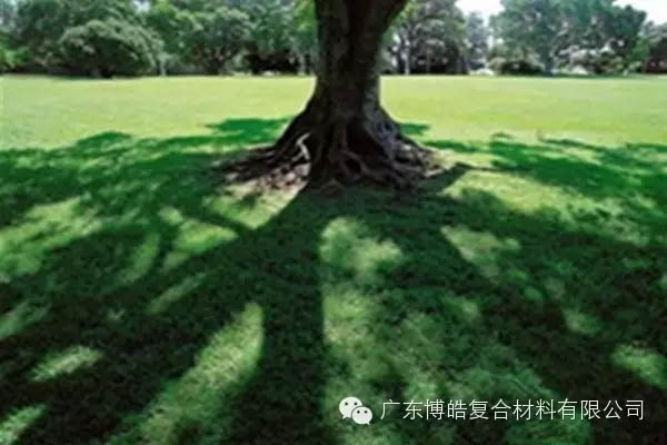 【博皓感悟】欲為大樹，莫與草爭-6