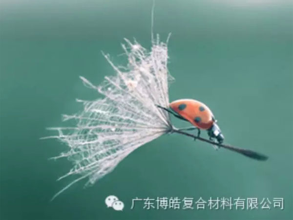 【博皓感悟】成功，要“借力”，不要“盡力”